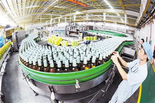南宁 产业园区挺起工业经济 脊梁